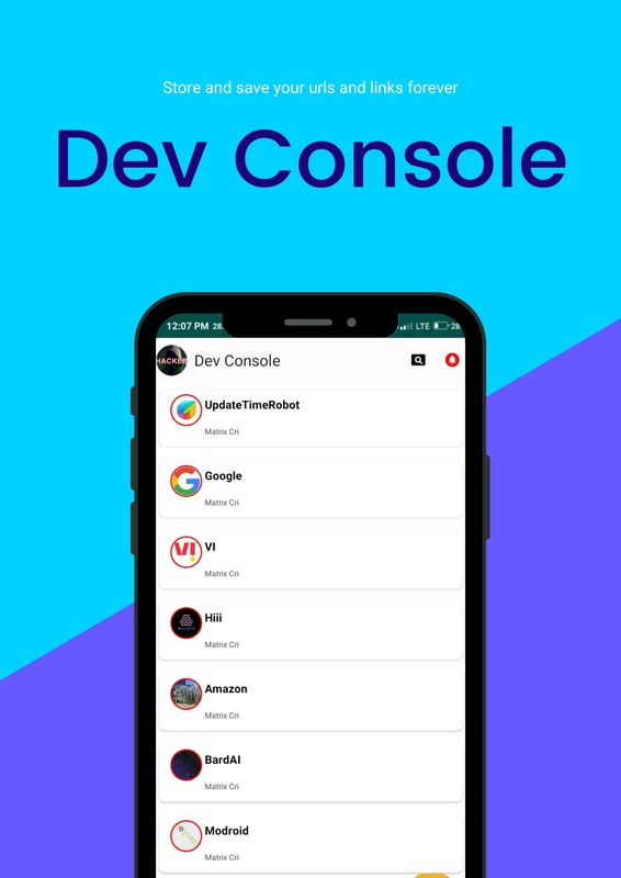 Dev Console