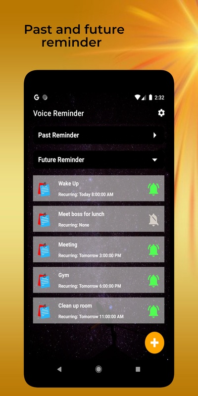 Voice Reminder